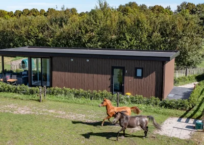Thuisbouwers Houten chalet 3